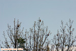 IMG_9406-copy