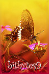 dchome_avtar1