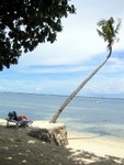 
Tambuli beach 3