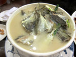 
�o�Q�����d鯭