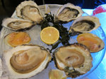 Oysters round 2