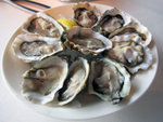 Oysters - �O������