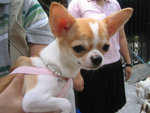 minnie�j�Ӥk��