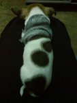 �j�����p�p,�Ӽлx���j��d