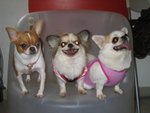 3�p��