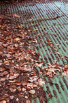 IMG_5008R