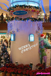 DSC_0919a