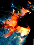 ������С f01