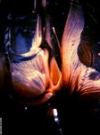 ������С f02