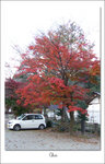 DSCF4700