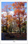 DSCF4704 