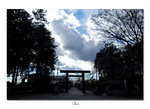 DSC_0032 copy