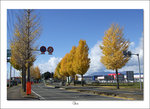 DSCF4778 
