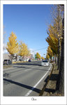 DSCF4779 