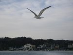 IMGP1793_1