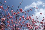 DSCF1218_1