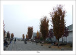DSCF4520 