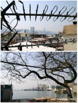 similar photos 02b