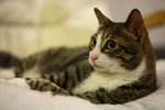 IMG_0019dpp_small