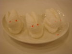 DSC00091