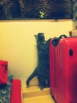 15.4.2012 Nano (1)