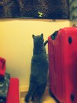 15.4.2012 Nano (2)