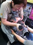 20.1.2012 Nano (3)