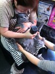 20.1.2012 Nano (4)