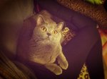 21.4.2012 Nano (1)