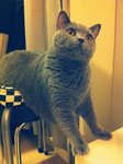 24.7.2011 Nano (1)