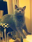 24.7.2011 Nano (2)