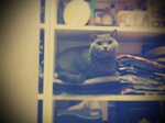 24.8.2011 Nano (1)