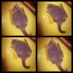 2.3.2012 Nano (3)