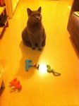 9.12.2011 Nano (11)