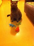 9.12.2011 Nano (12)