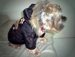 12.1.2009 BoBo (10)
