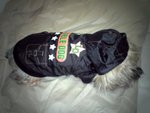12.1.2009 BoBo (12)