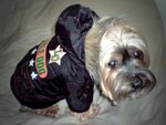 12.1.2009 BoBo (7)