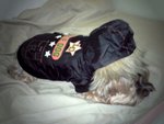 12.1.2009 BoBo (9)