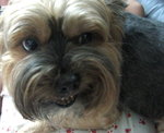 16.11.2006 BoBo (1)