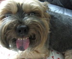 16.11.2006 BoBo (2)