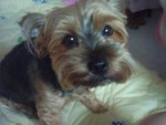 18.8.2004 BoBo (1)