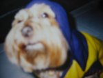 19.5.2005 BoBo (2)