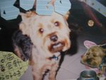 19.5.2005 BoBo (3)