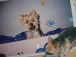 19.5.2005 BoBo (4)
