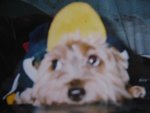 19.5.2005 BoBo (6)