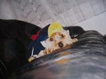 19.5.2005 BoBo (7)