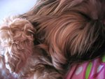 1.9.2005 BoBo (3)
