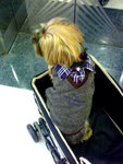 3.1.2008 BoBo (1)
