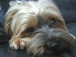 7.6.2005 BoBo (6)